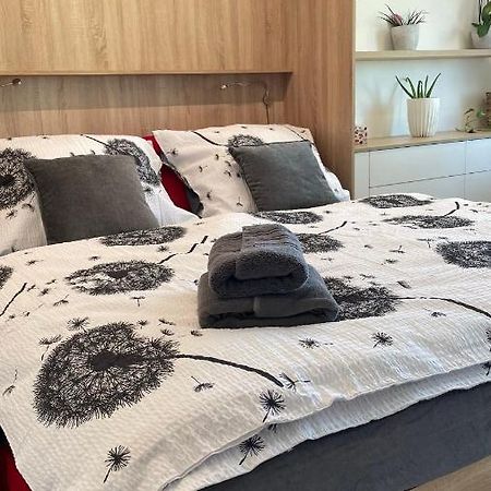 Apartman Na Zahradni 基约夫 外观 照片