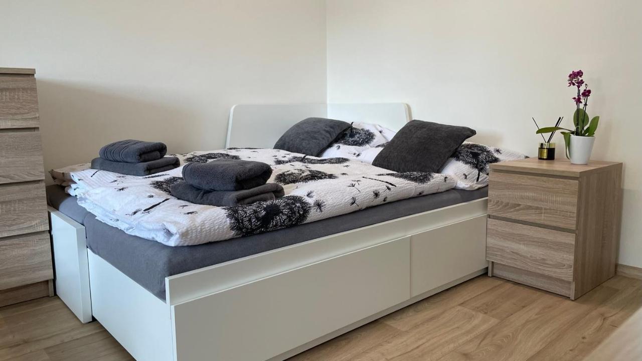 Apartman Na Zahradni 基约夫 外观 照片