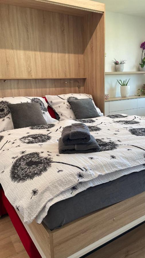 Apartman Na Zahradni 基约夫 外观 照片