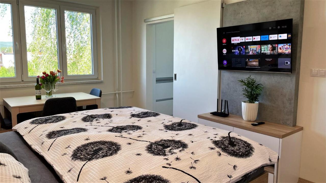 Apartman Na Zahradni 基约夫 外观 照片