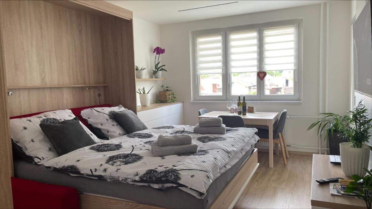 Apartman Na Zahradni 基约夫 外观 照片